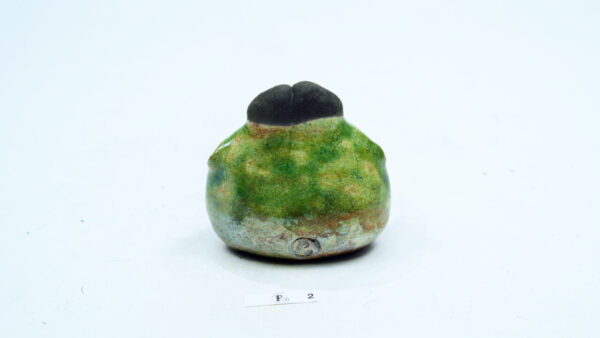 Bodden Ellipsoid 2 – Bild 3