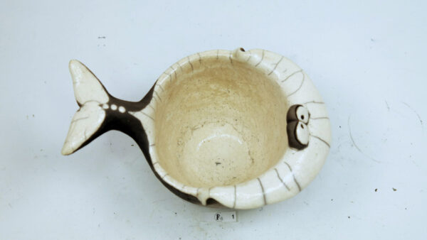 Pottwal – Bild 5