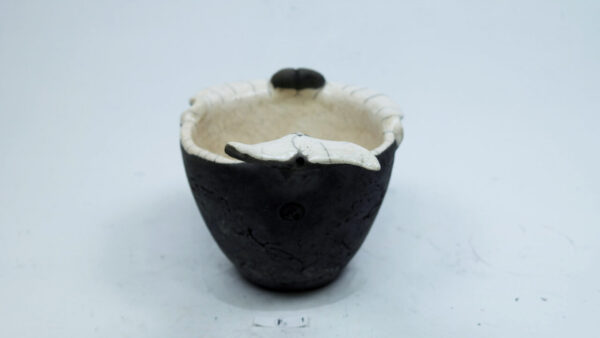 Pottwal – Bild 3