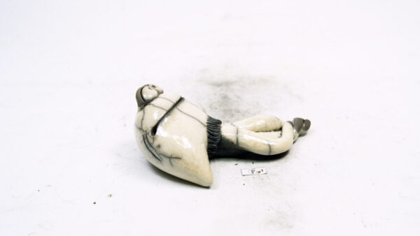 Qualle 1 – Bild 5