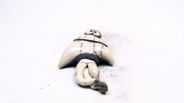 Qualle 1 – Bild 2
