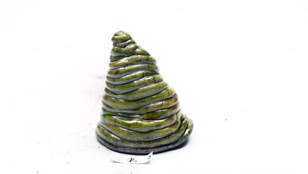 Ringel-Tann 3 – Bild 5