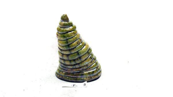 Ringel-Tann 5 – Bild 5