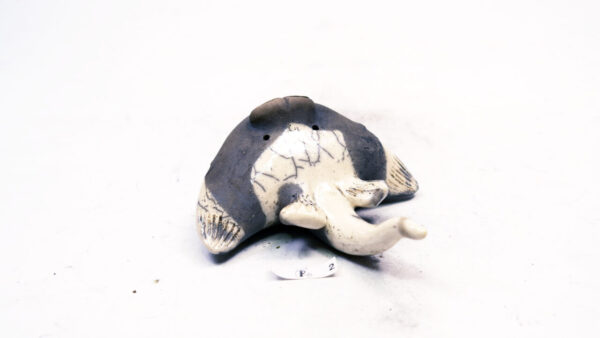 Rochen 2 – Bild 5