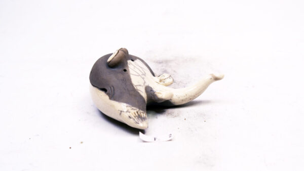 Rochen 2 – Bild 4