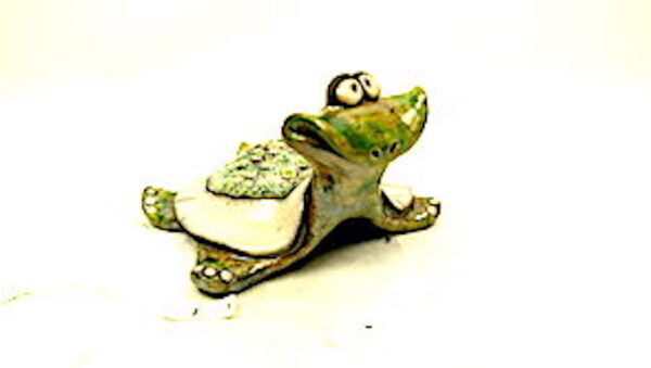 Schildkröte 6 – Bild 4