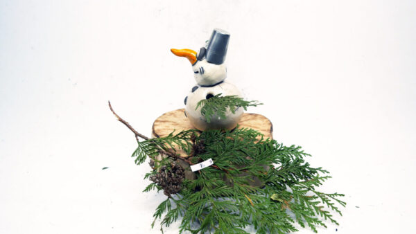 Sneeimann 3 up'n Boom – Bild 4