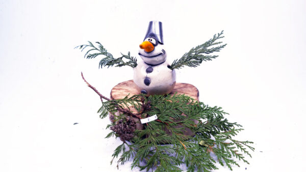 Sneeimann 3 up'n Boom – Bild 2