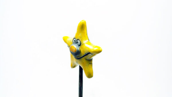 Steern 1 – Bild 3