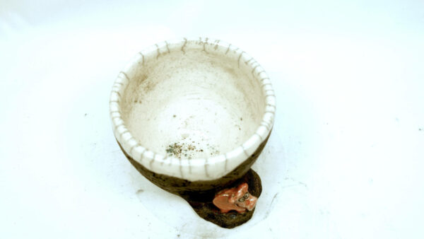 Swieen 1 Pott – Bild 3