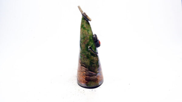 Tann – Bild 5
