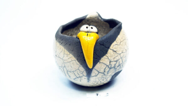 Uutkiek 12
