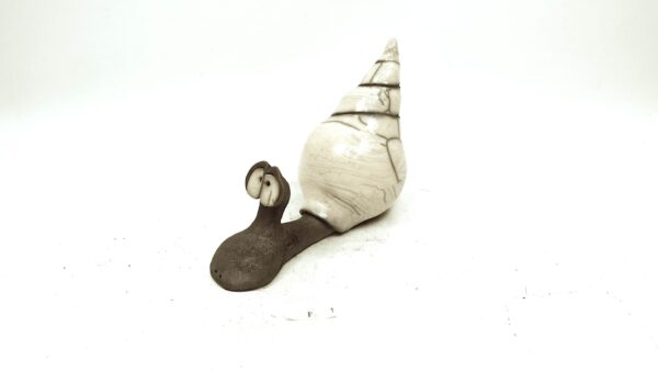 Schnecke – Bild 4