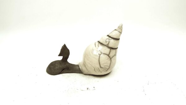 Schnecke – Bild 3