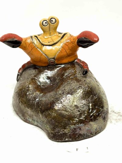 Steinkrabbe