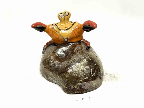 Steinkrabbe