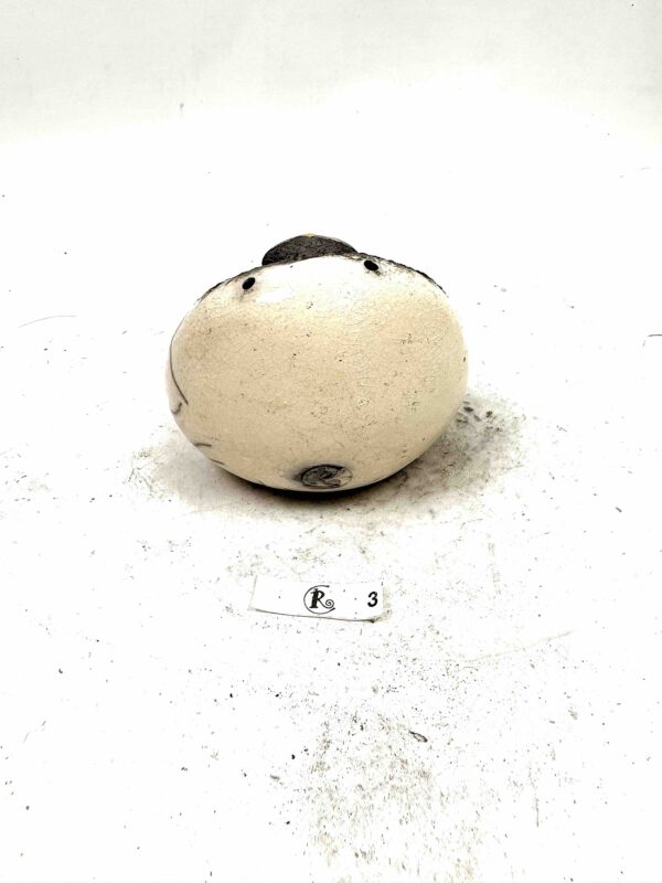 Eule 3 – Bild 3