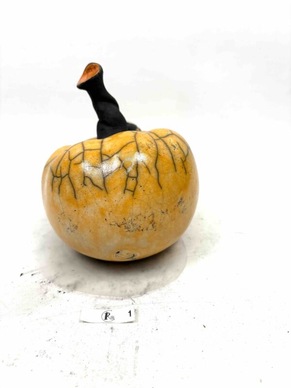 Kürbis 10 – Bild 4