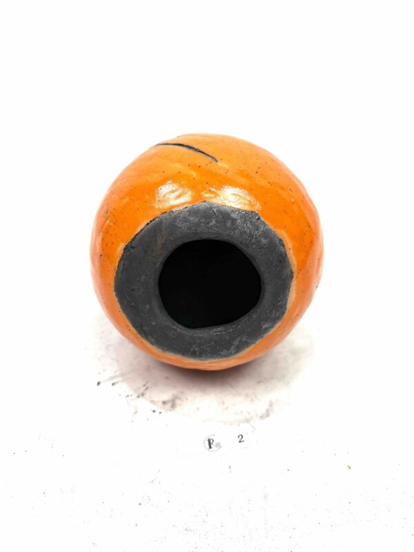 Kürbis 11 – Bild 3