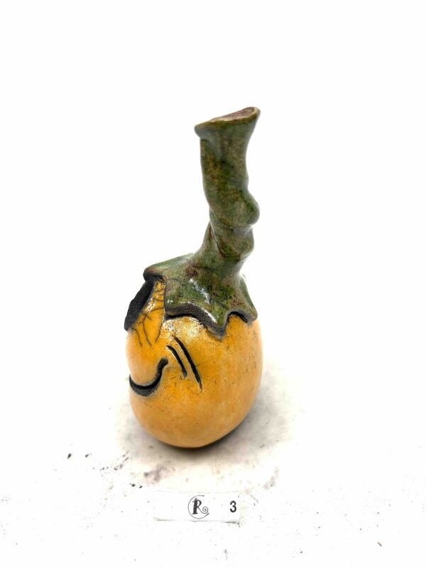 Kürbis 12 – Bild 5