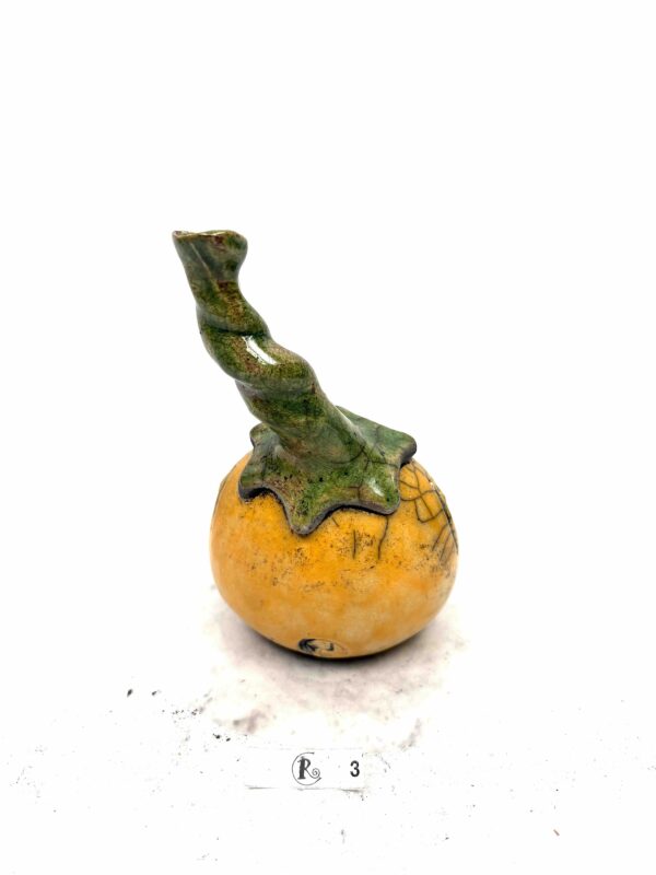 Kürbis 12 – Bild 4