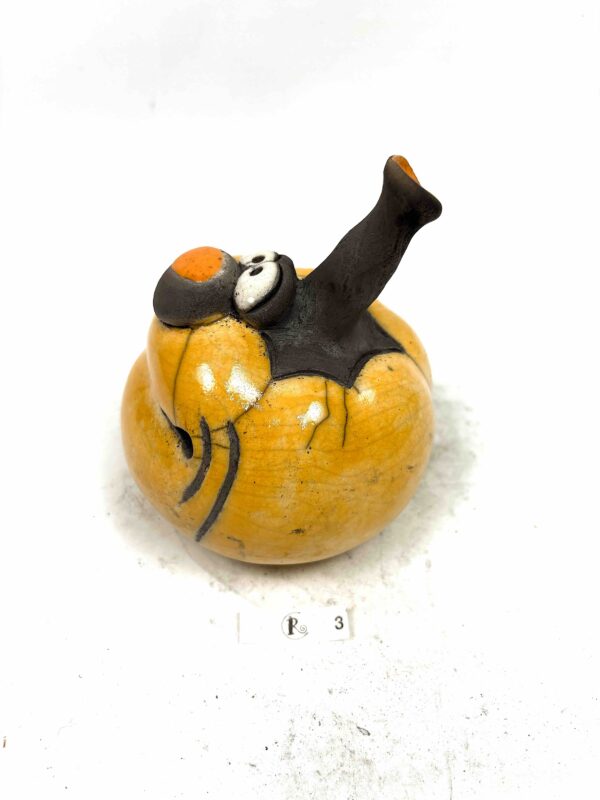 Kürbis 3 – Bild 3