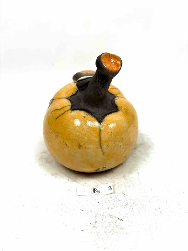 Kürbis 3 – Bild 2