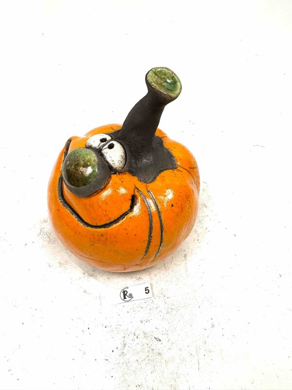 Kürbis 5 – Bild 4
