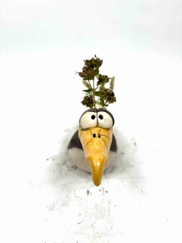 Möwe 1 – Bild 5