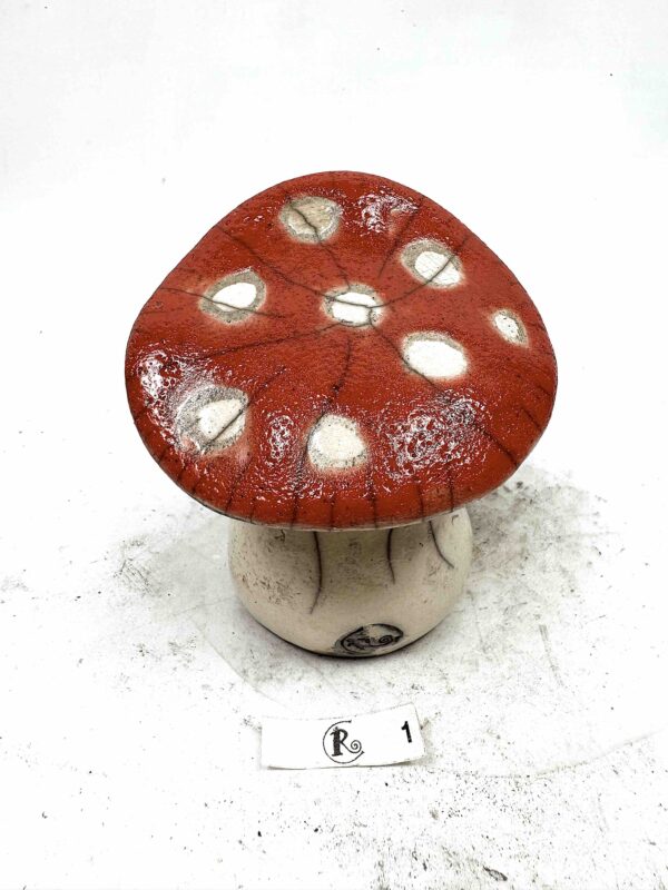 Pilz 1 – Bild 2