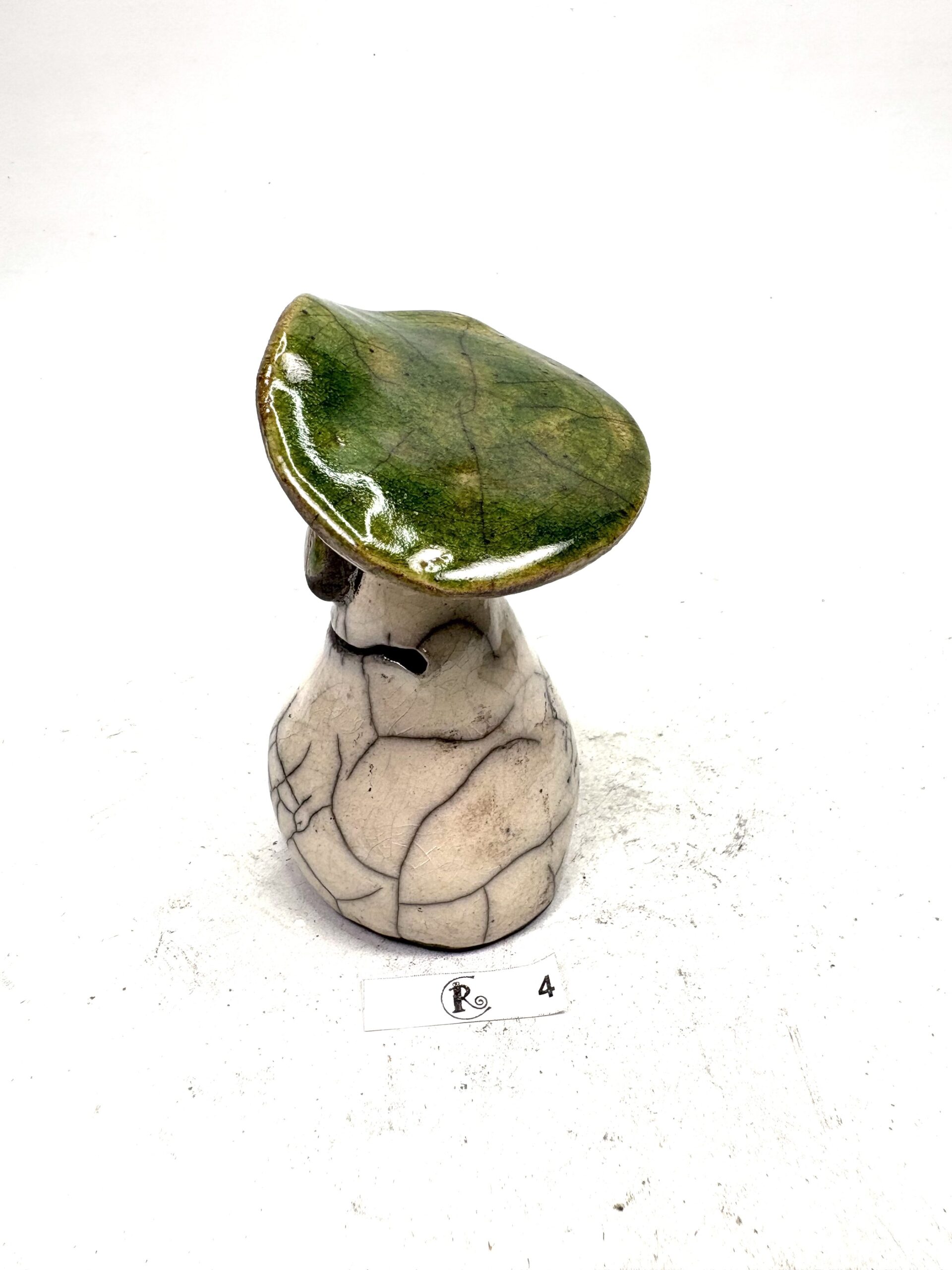Pilz 4 – Bild 5