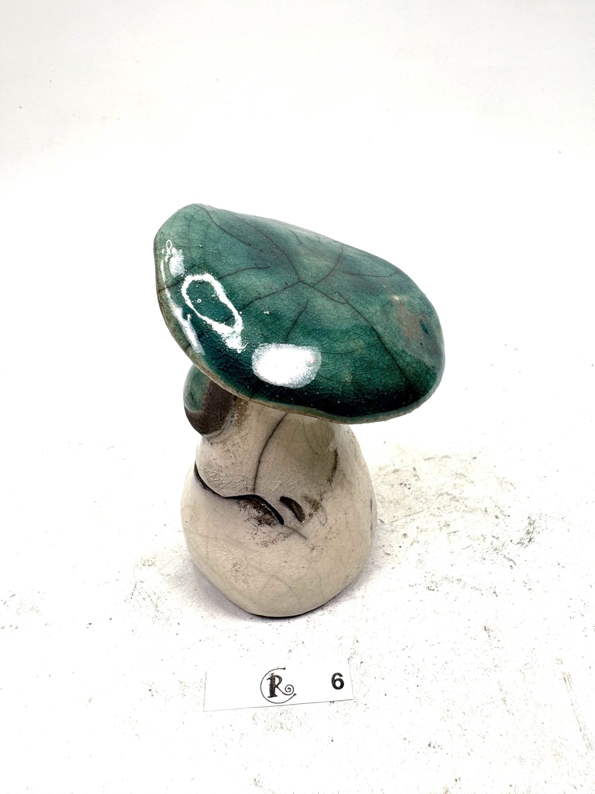 Pilz 6 – Bild 5