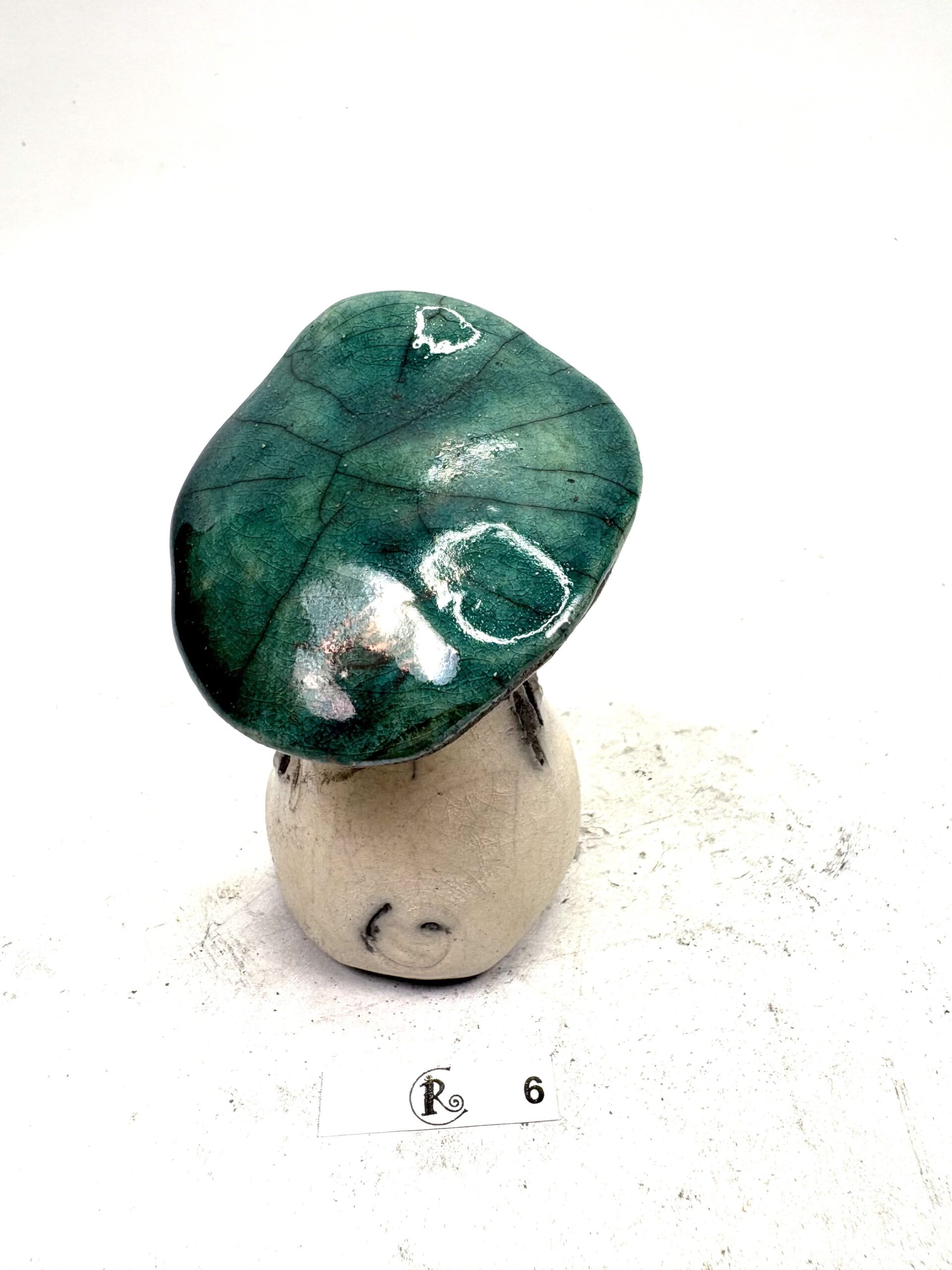 Pilz 6 – Bild 4