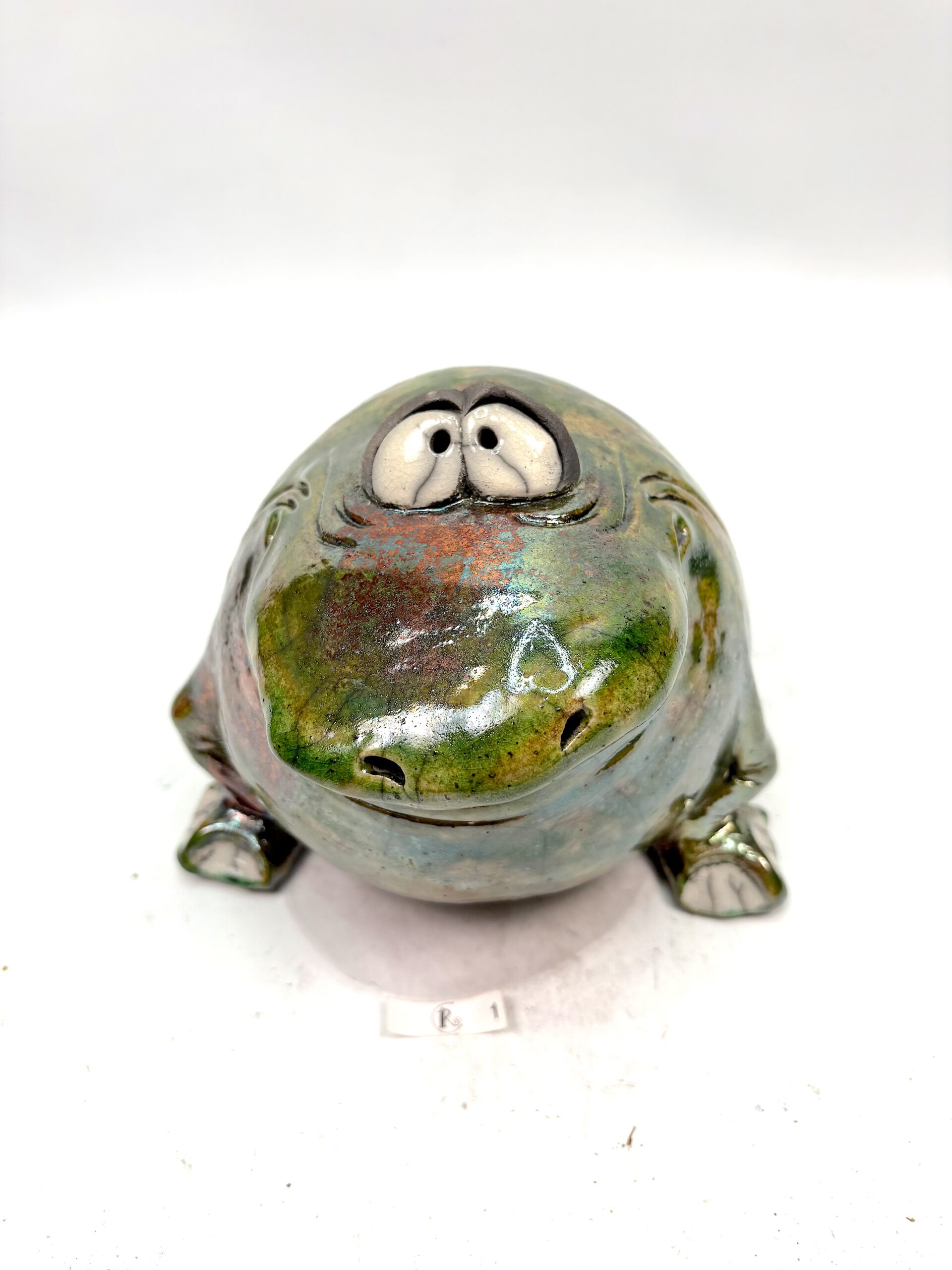 Frosch – Bild 6
