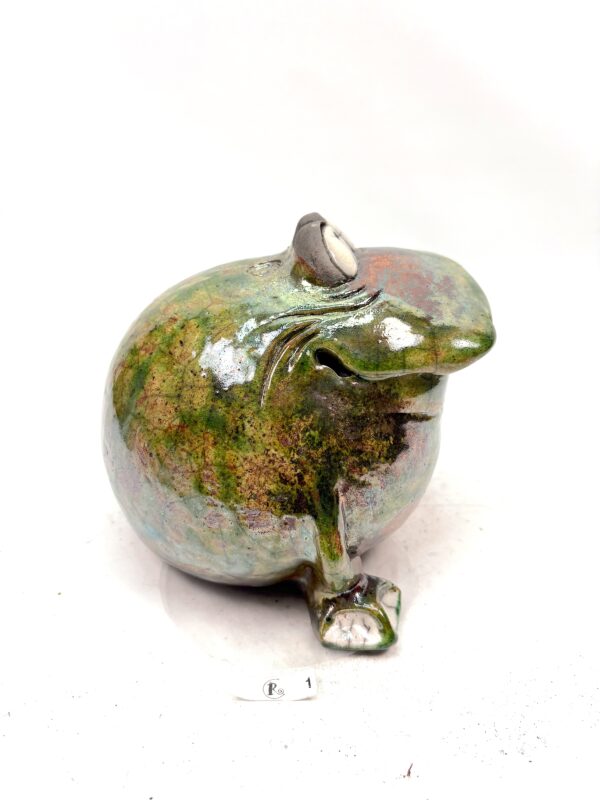 Frosch – Bild 2