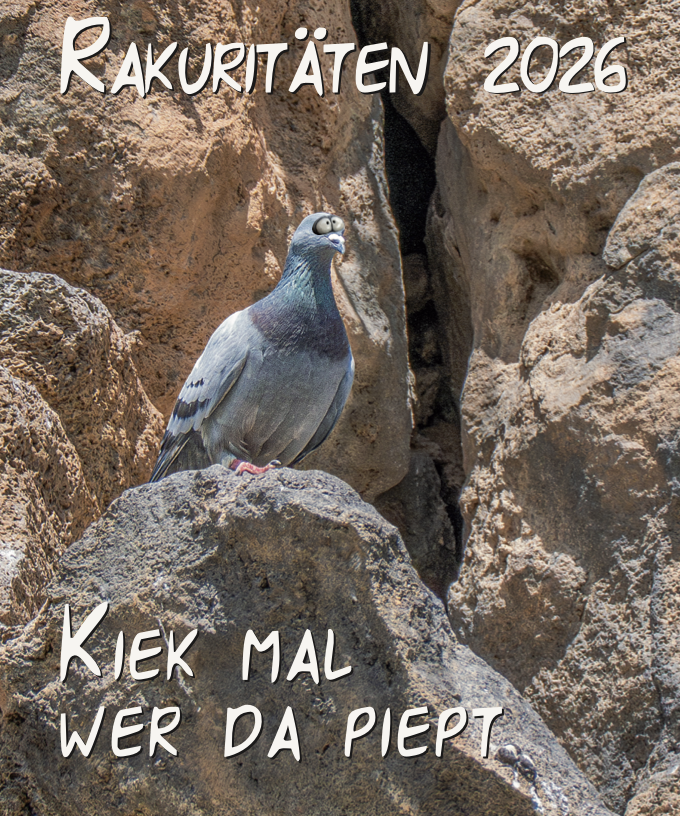 Rakukritäten-Kalender 2026 Sonderedition limitiert