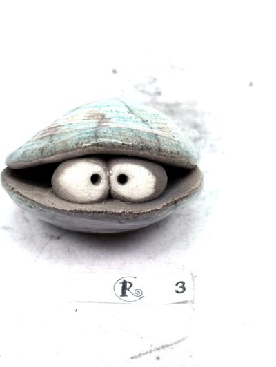 Glotzmuschel 3