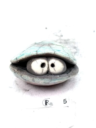 Glotzmuschel 5